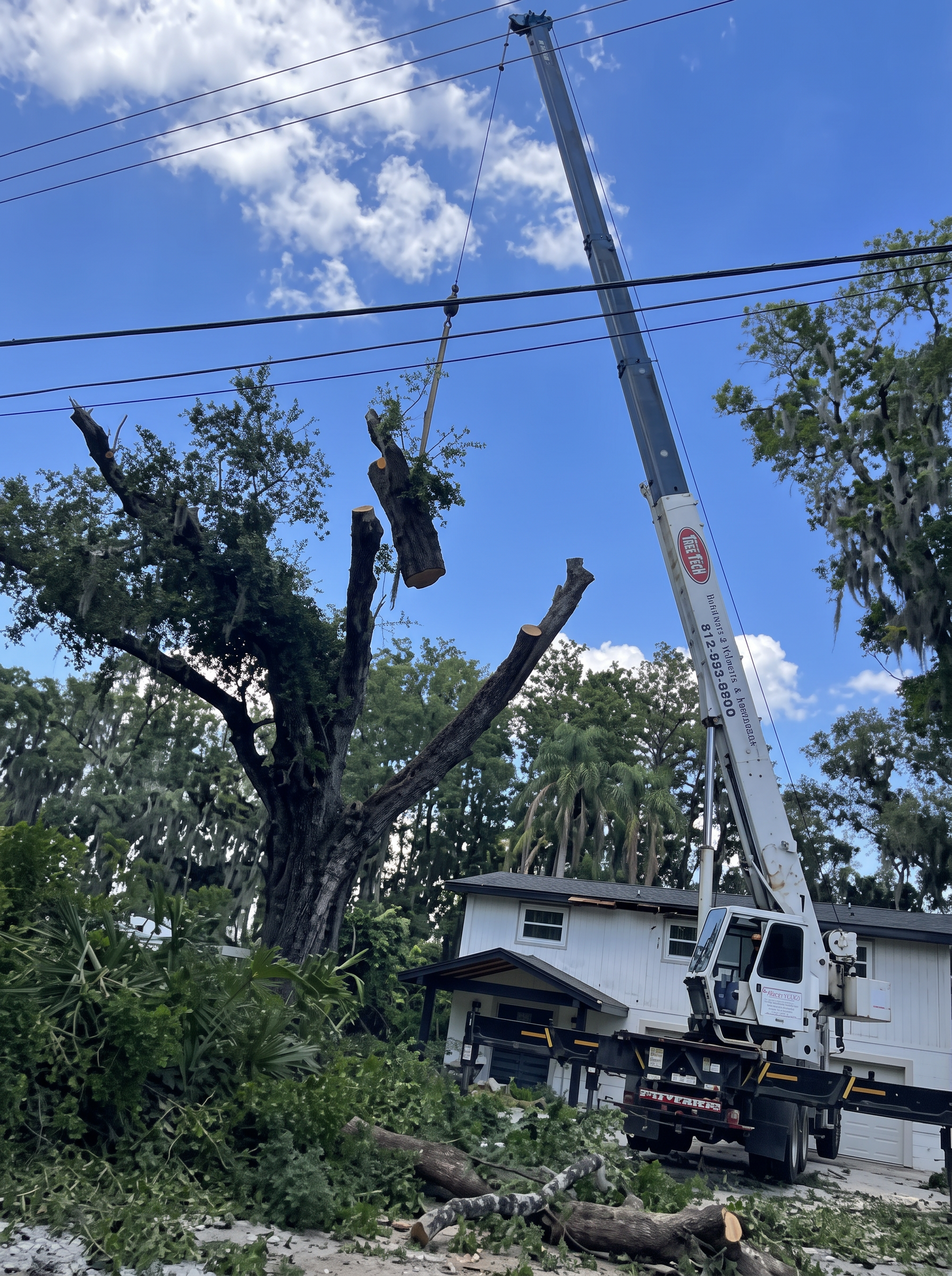 Scottsdale Outdoors crane truck set up beside a Tampa home for a tree removal