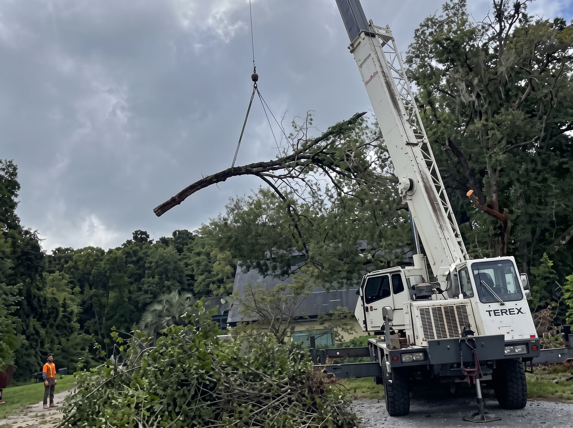 Bucket truck and crane lifting a limb