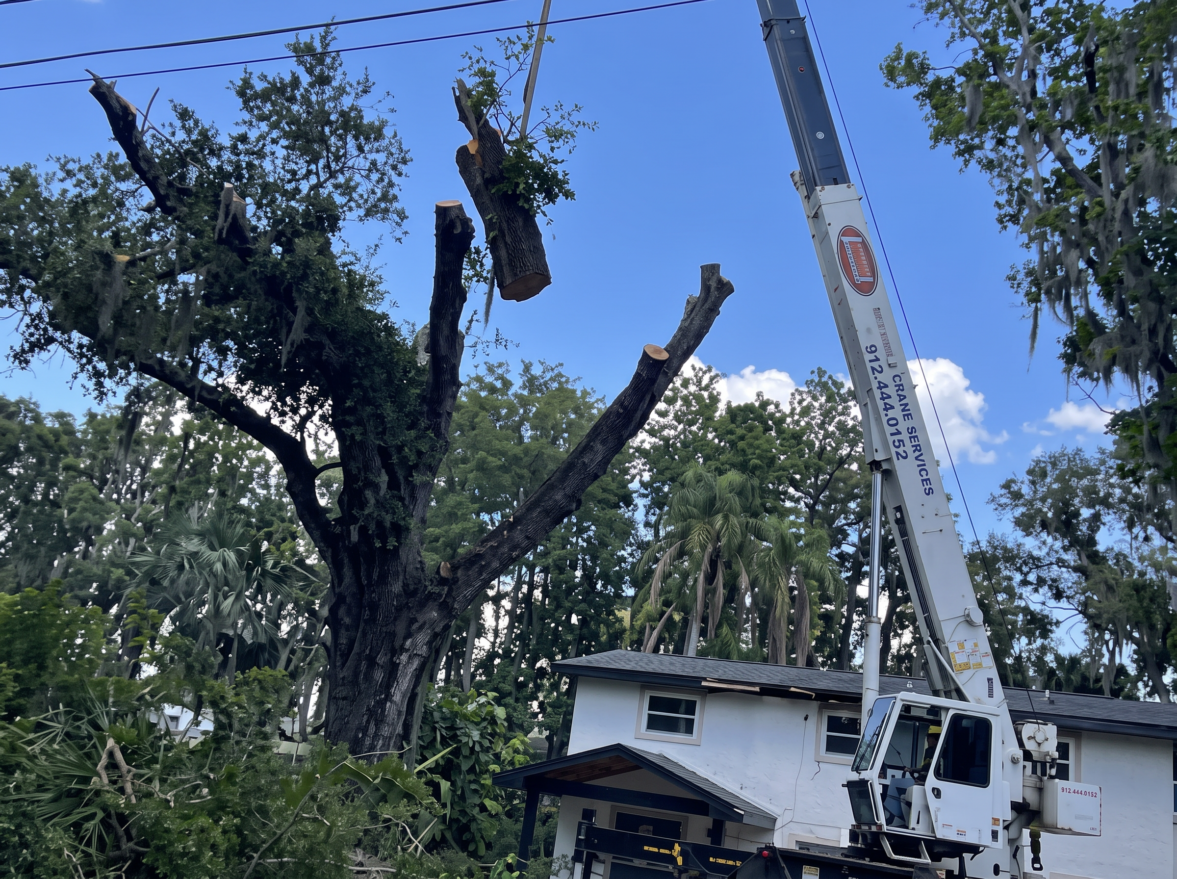 Crane truck lifting limbs over a house