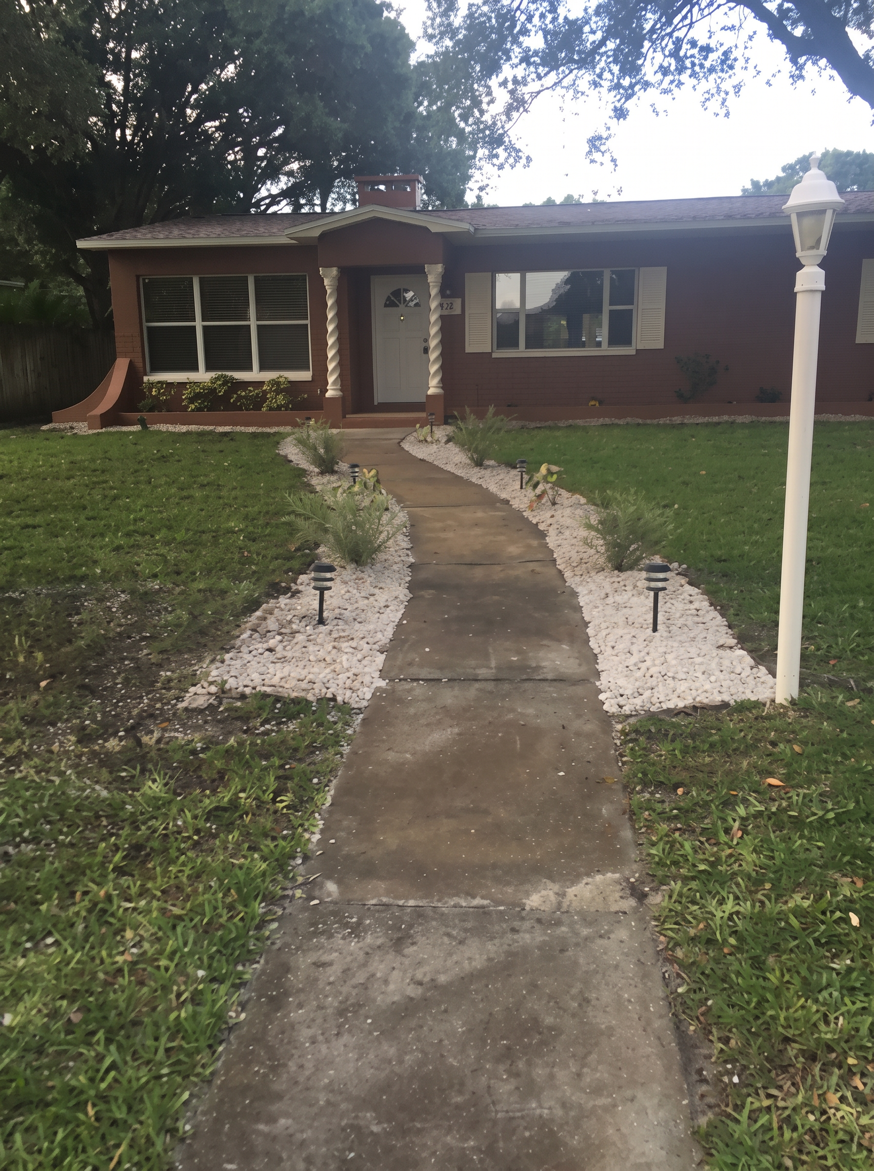 Tampa front yard left clean after tree work